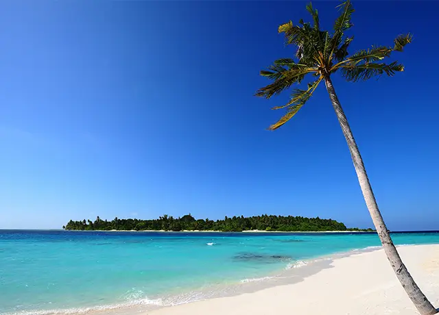 Mumbai Car Rental services